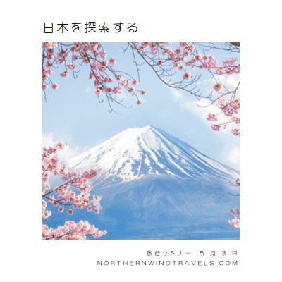 桜の眺望 white modern-simple