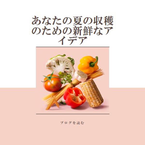 夏の収穫 pink modern-simple