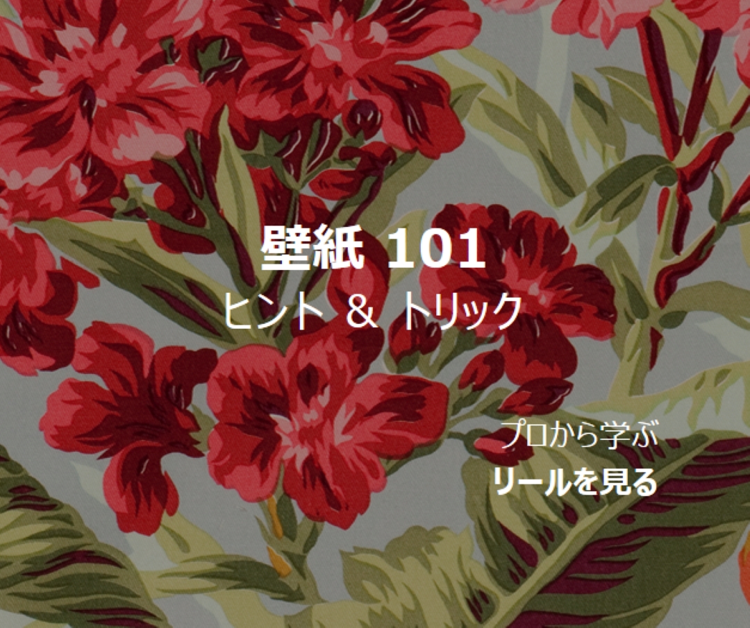 完全復旧 green modern-simple