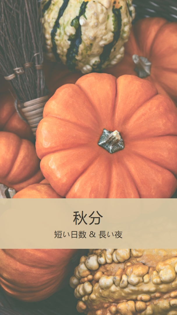 秋分を祝う orange modern-simple