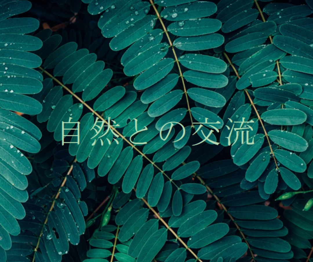 自然と交流する green modern-simple