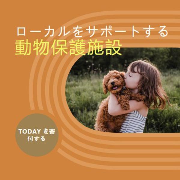 シェルター ヘルパー orange whimsical-color-block