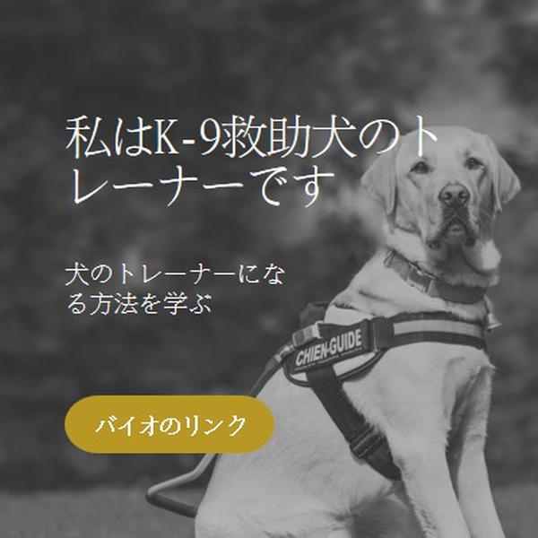 私は救助犬のトレーナーです black modern-simple