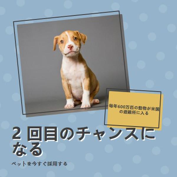 2 回目のチャンスの子犬 blue modern-bold