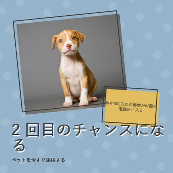 2 回目のチャンスの子犬 blue modern-bold