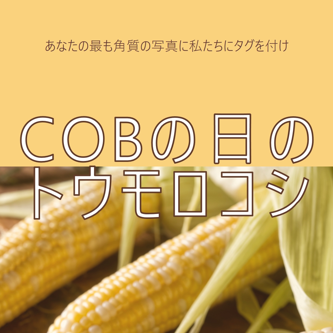コブの分隊 yellow modern-simple