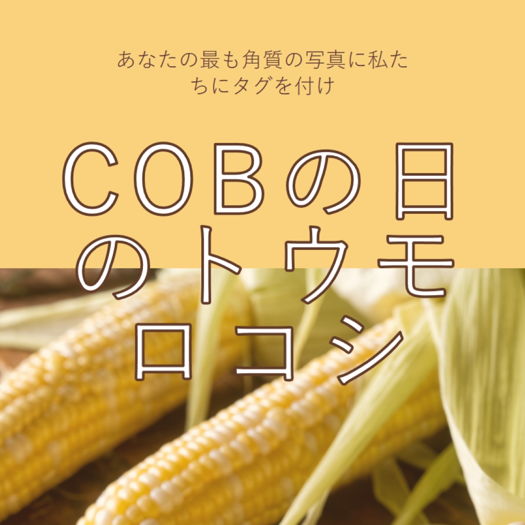 コブの分隊 yellow modern-simple