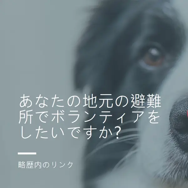 ボランティアと応援 blue modern-simple