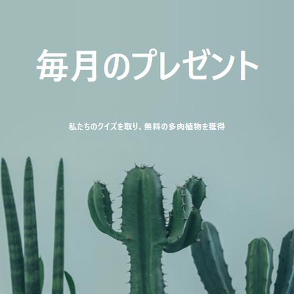 毎月のプレゼントクイズ green modern-simple