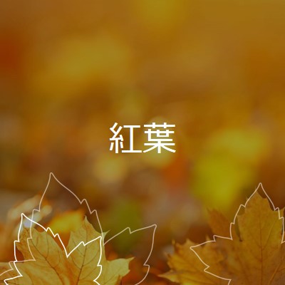 紅葉 orange organic-simple