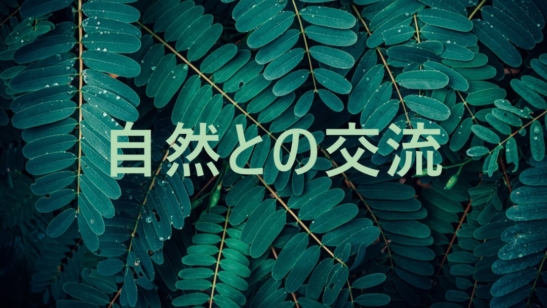 自然と交流する green modern-simple