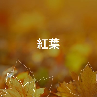 紅葉 orange organic-simple