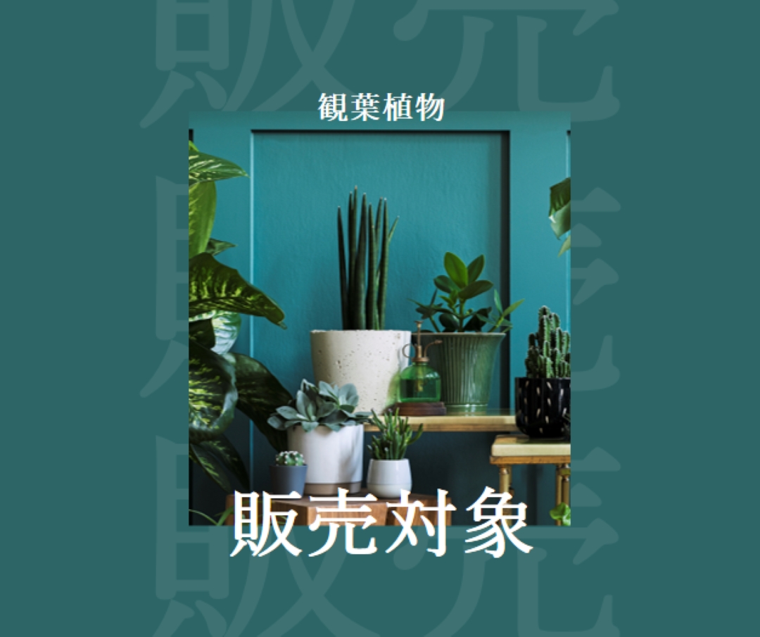 プラント電力 green modern-bold