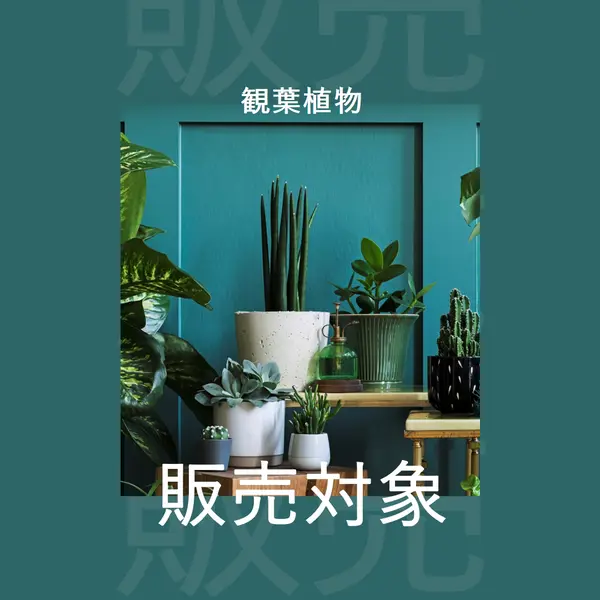 プラント電力 green modern-bold