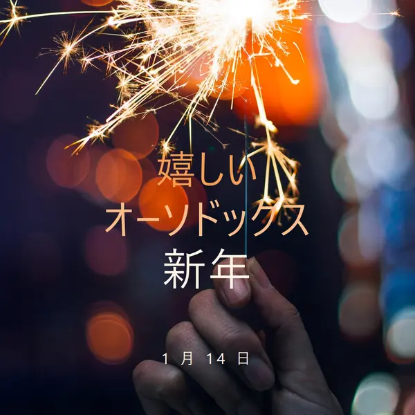 正統派の新年 black modern-simple