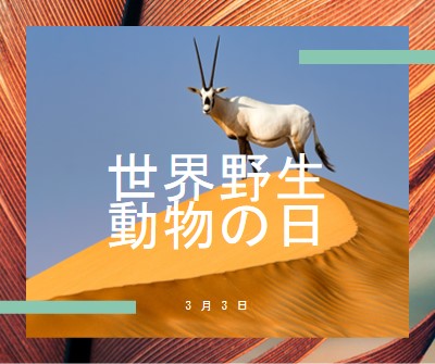 野生動物を祝う orange modern-bold