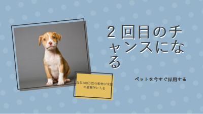 2 回目のチャンスの子犬 blue modern-bold