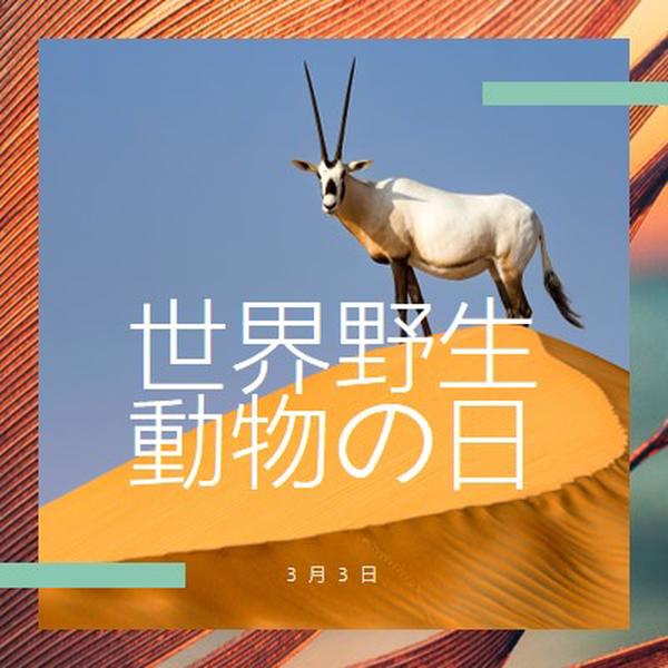 野生動物を祝う orange modern-bold