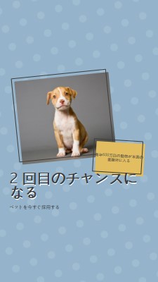 2 回目のチャンスの子犬 blue modern-bold