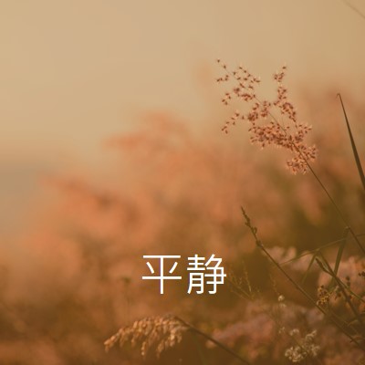 静けさの分野 brown modern,minimal,nature,quiet,soft,plants