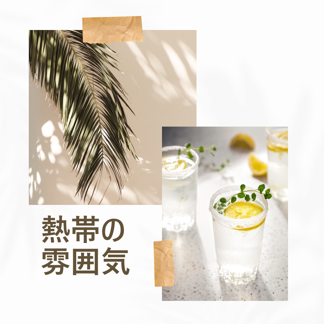 トロピカルカクテルの雰囲気 white photographic,collage,minimal,scrapbook,handwriting,botanical,