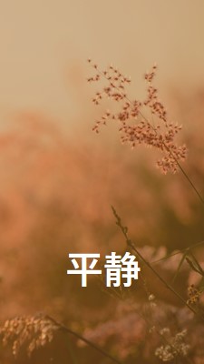 静けさの分野 brown modern,minimal,nature,quiet,soft,plants