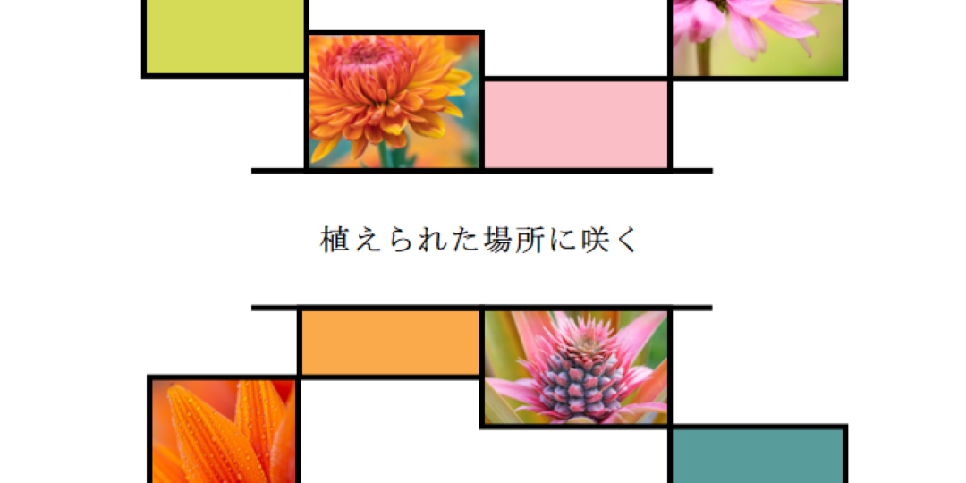 植えた場所に咲く white modern-geo-&-linear