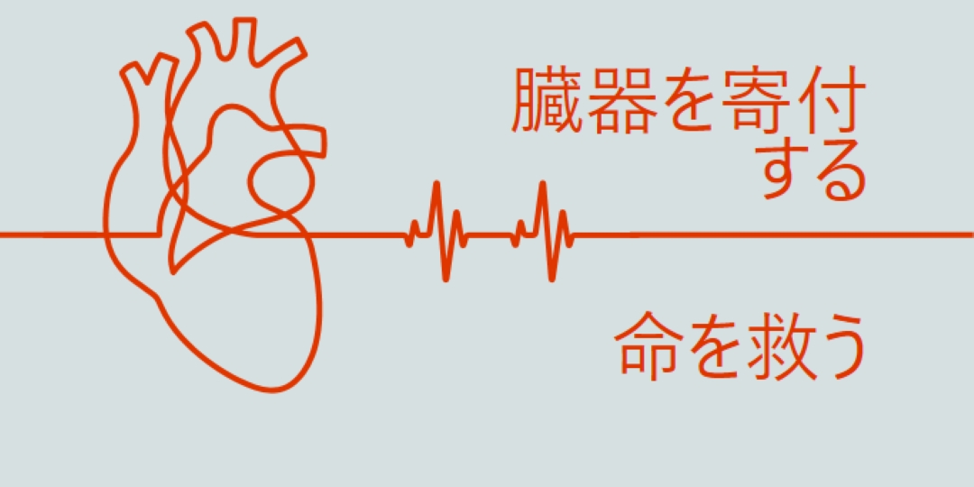 臓器提供者になる blue whimsical-line