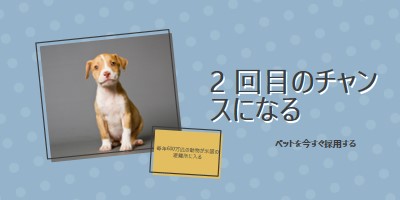 2 回目のチャンスの子犬 blue modern-bold