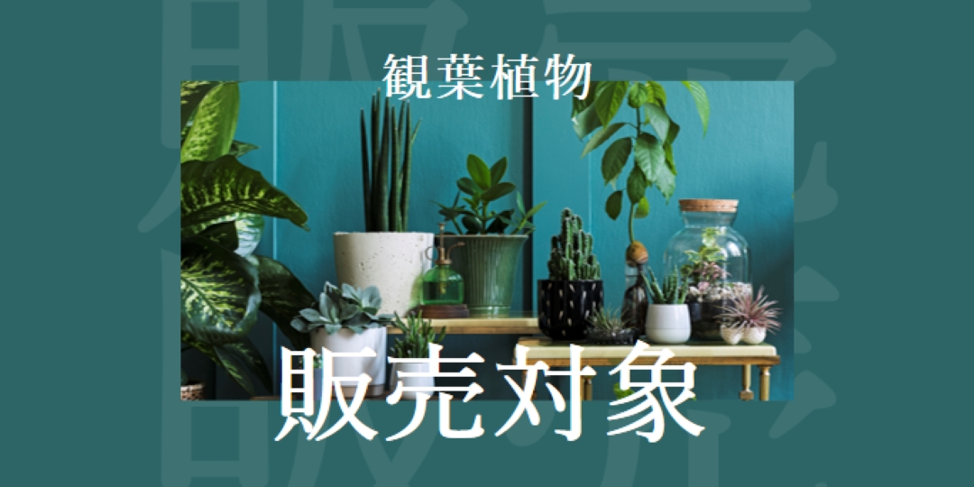 プラント電力 green modern-bold