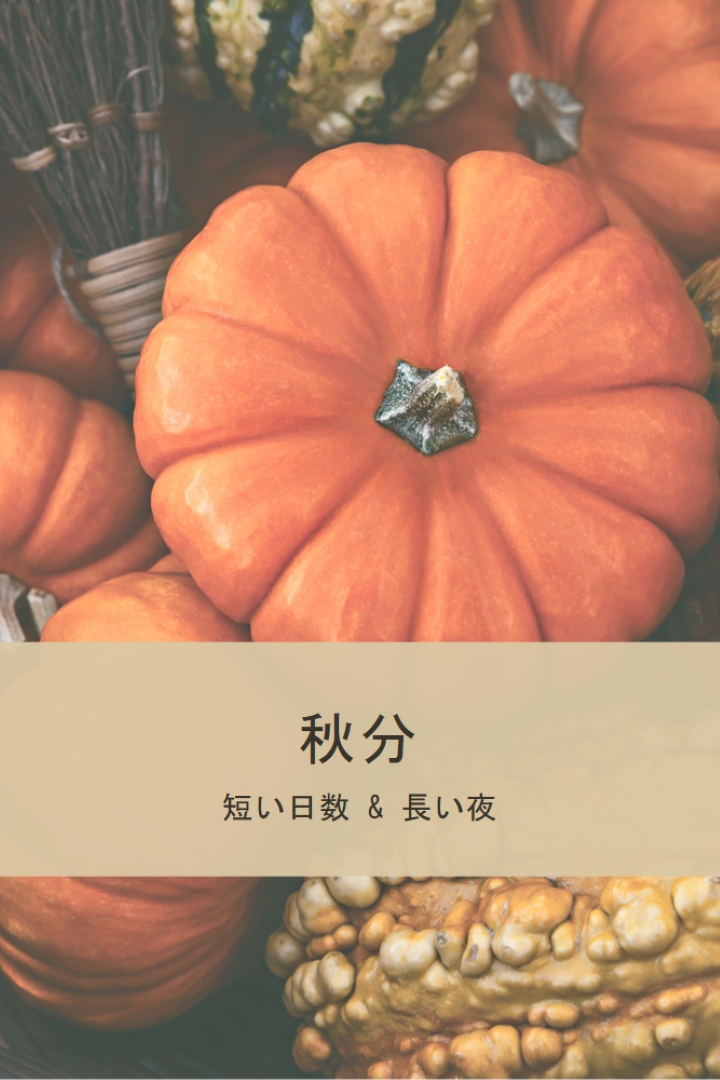 秋分を祝う orange modern-simple
