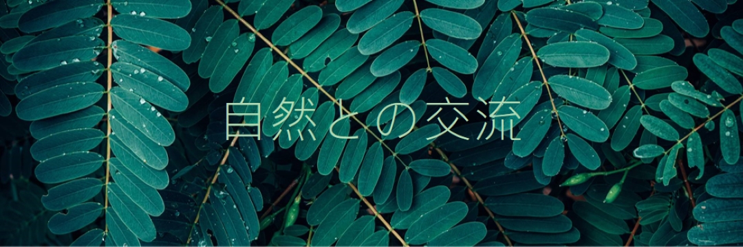 自然と交流する green modern-simple