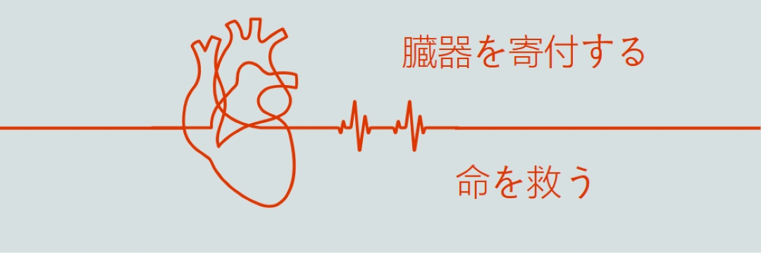 臓器提供者になる blue whimsical-line