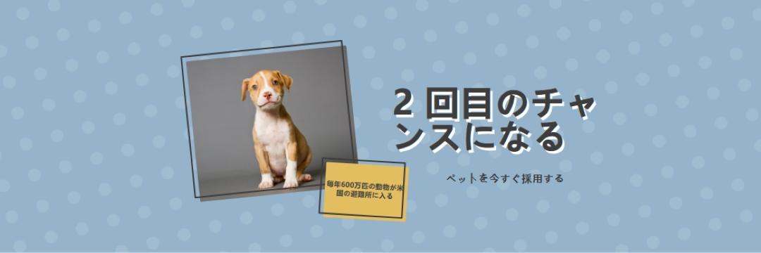2 回目のチャンスの子犬 blue modern-bold