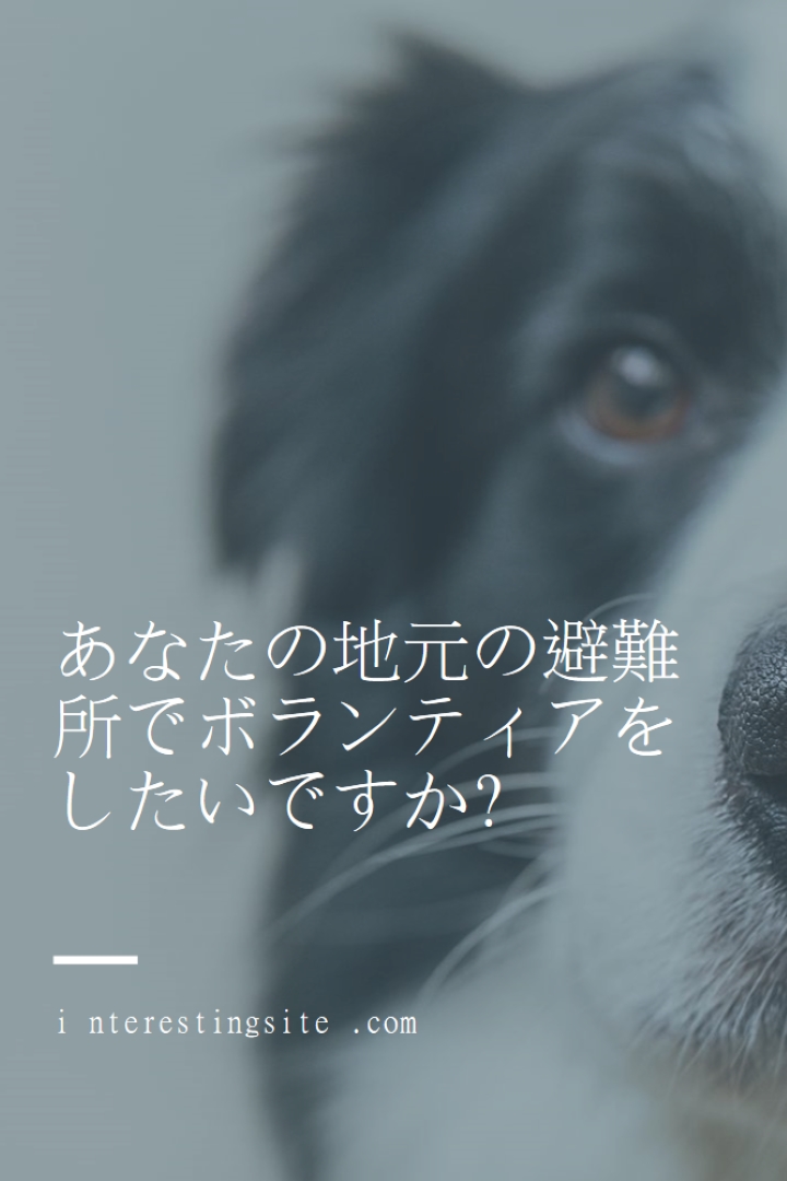 ボランティアと応援 blue modern-simple