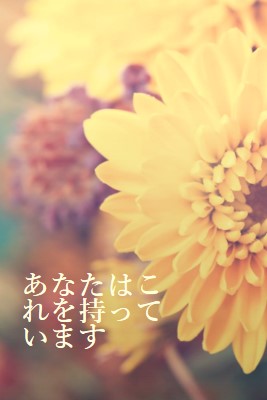 繁栄する花びら yellow modern-simple