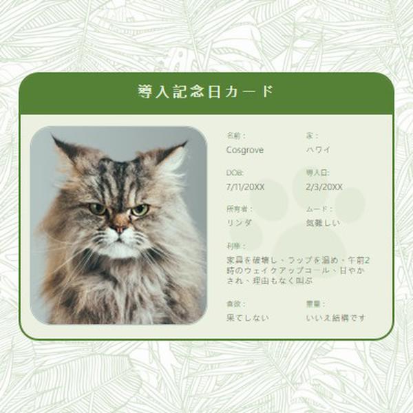 導入記念日カード green botanical,cat,license