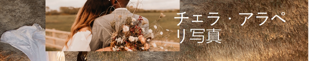 自由奔放な写真ブランドバナー brown simple,soft,romantic