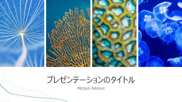 海のプレゼンテーション organic-simple