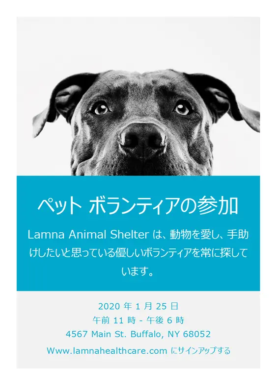 ペット ボランティアの参加のチラシ modern-simple