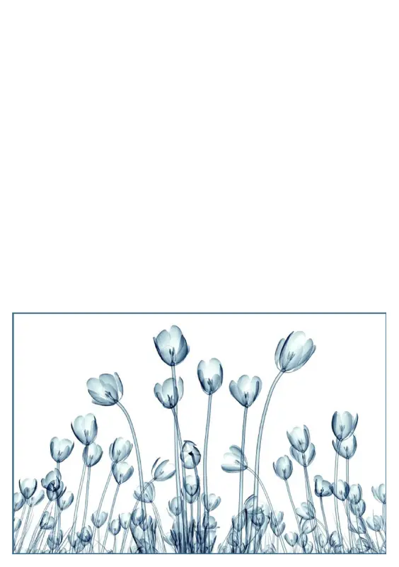 花の絵のグリーティング カード (5 枚、1 ページに 1 枚) blue organic-simple