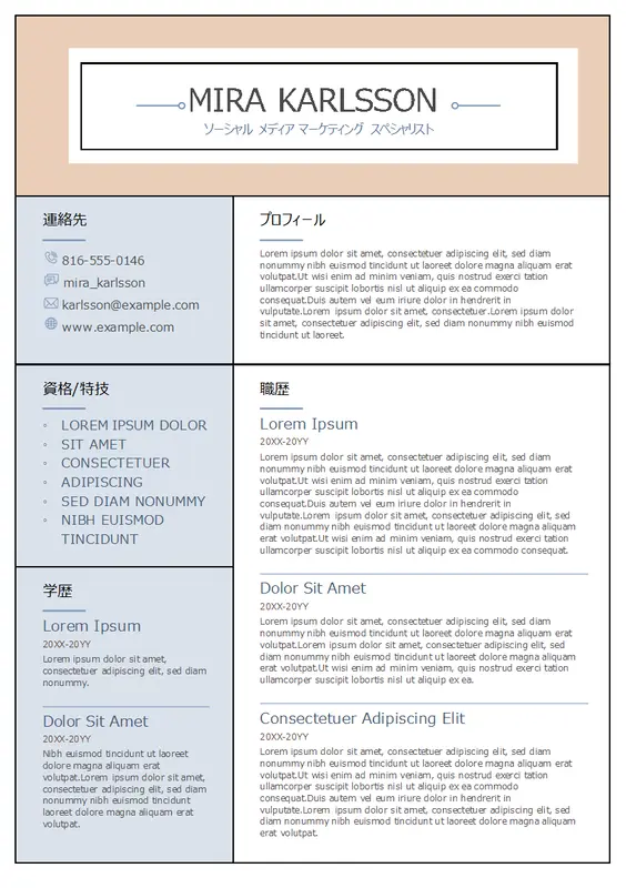 段組みの履歴書 modern-simple