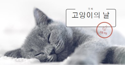 고양이 낮잠 gray modern-simple