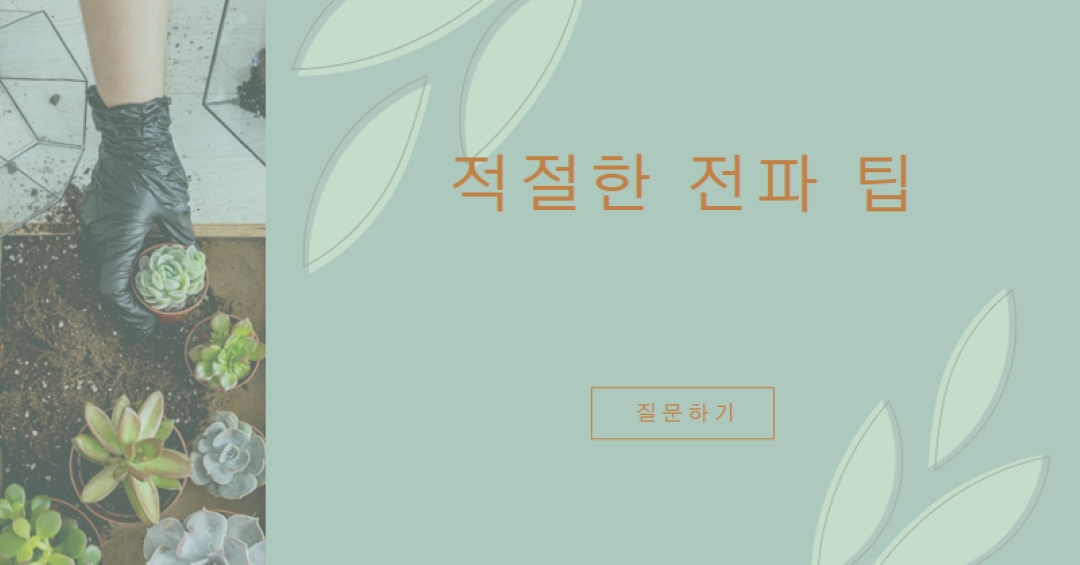 단순히 육즙이 많은 green organic-simple