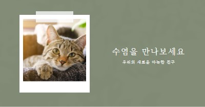 새로운 고양이를 만나보세요 green modern-simple