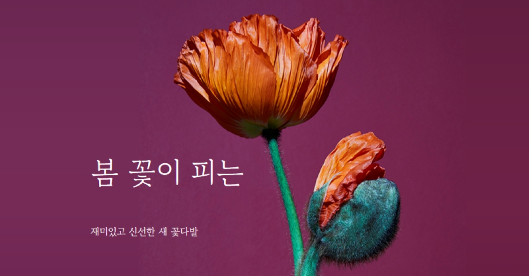 신선한 꽃 purple modern-simple