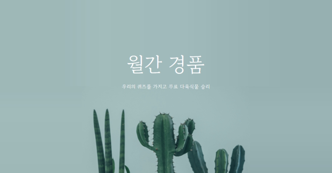 월간 경품 퀴즈 green modern-simple