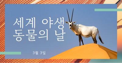 야생 동물 축하 orange modern-bold