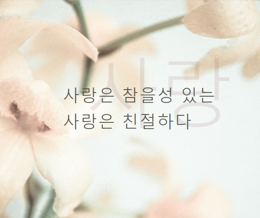 러브 노트 white modern-simple