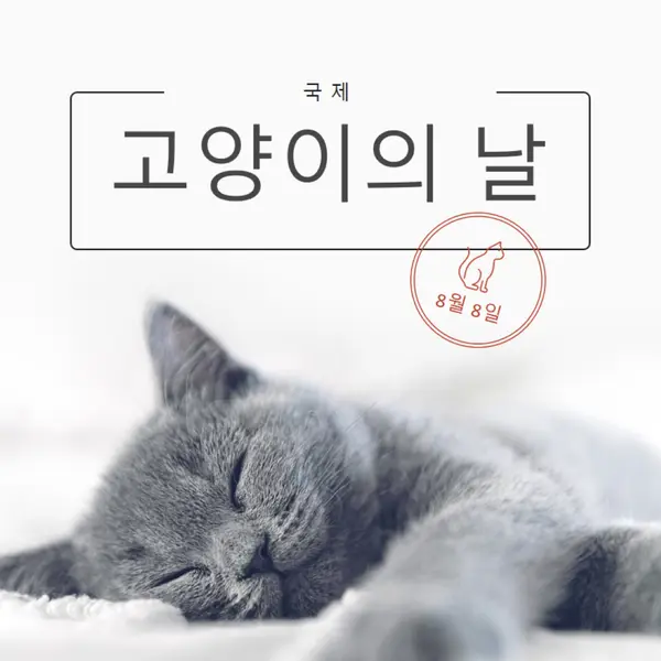 고양이 낮잠 gray modern-simple